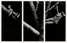 © VG Bild-Kunst, Bonn 2016 - http://www.bildkunst.de Bernhard und Anna Blume