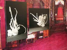 © Peles Empire - Barbara Wolf und Katharina Stöver Peles Empire